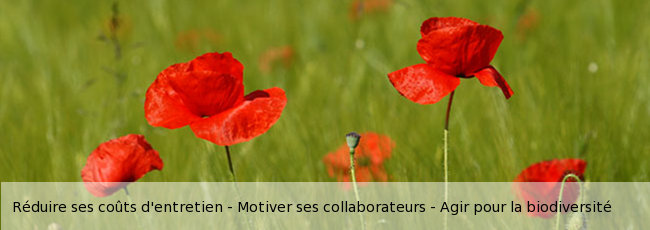 gestion différenciée en entreprise