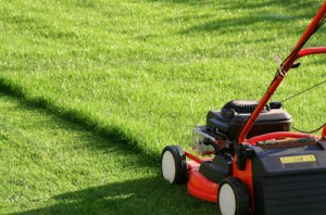 Jardinier ou esclave de la tondeuse ?