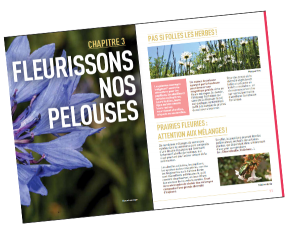 extrait1_guide-plantons-local