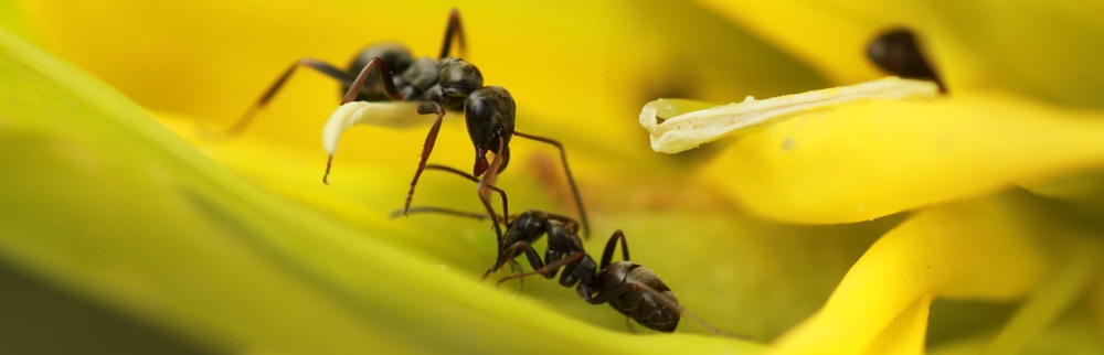 Des jardins esthétiques, vivants, changeants au fil des saisons.